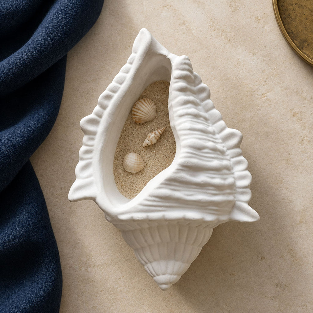 Búzio Decorativo em Gesso