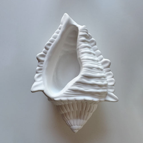 Búzio Decorativo em Gesso