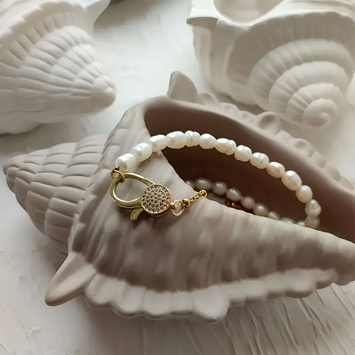 Búzio Decorativo em Gesso