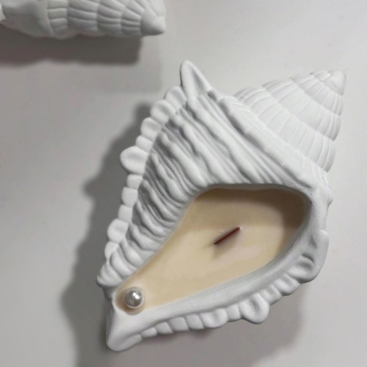 Búzio Decorativo em Gesso