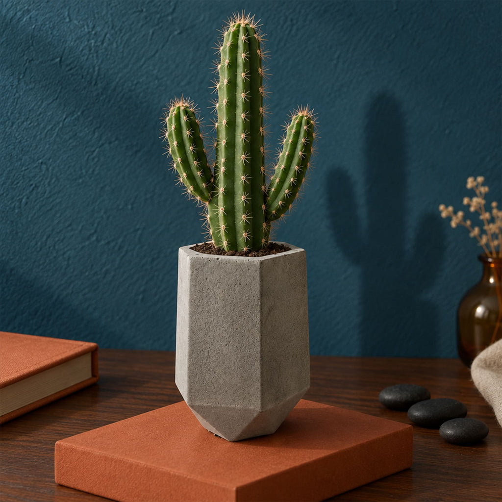 Copo Hexagonal em Cimento