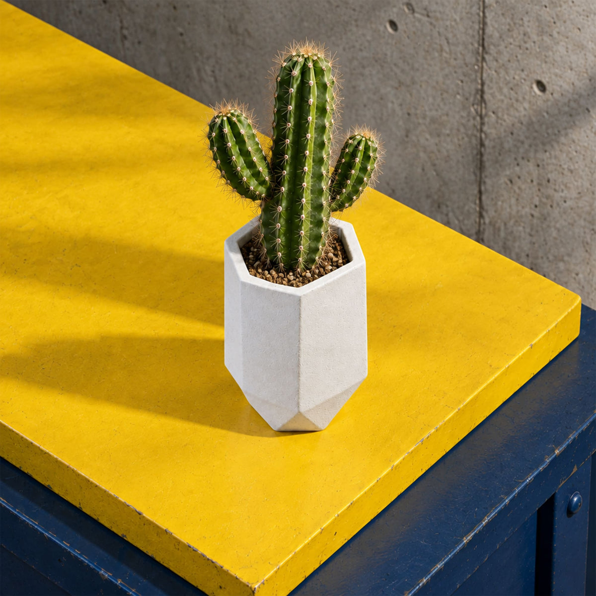Copo Hexagonal em Gesso